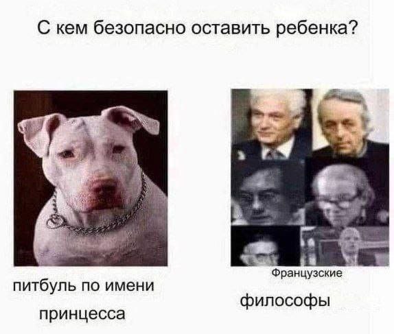 С кем безопасно оставить ребенка: питбуль по имени Принцесса, французские философы