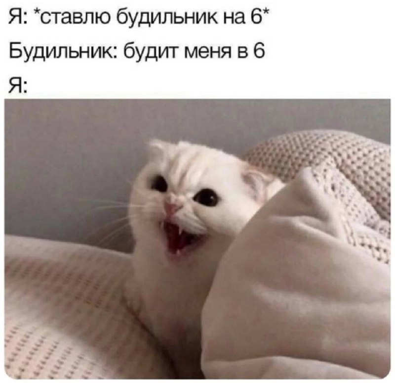 Я ставлю будильник на 6. Будильник будит меня в 6