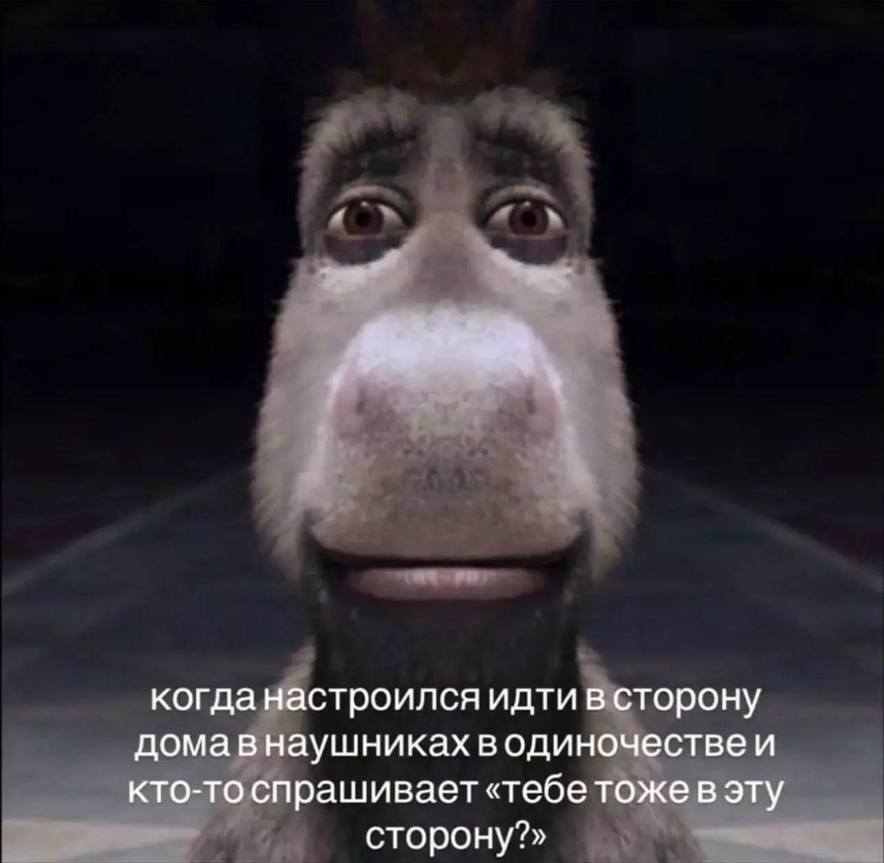 Когда настроился идти в сторону дома в наушниках в одиночестве и кто-то спрашивает 'тебе тоже в эту сторону?'