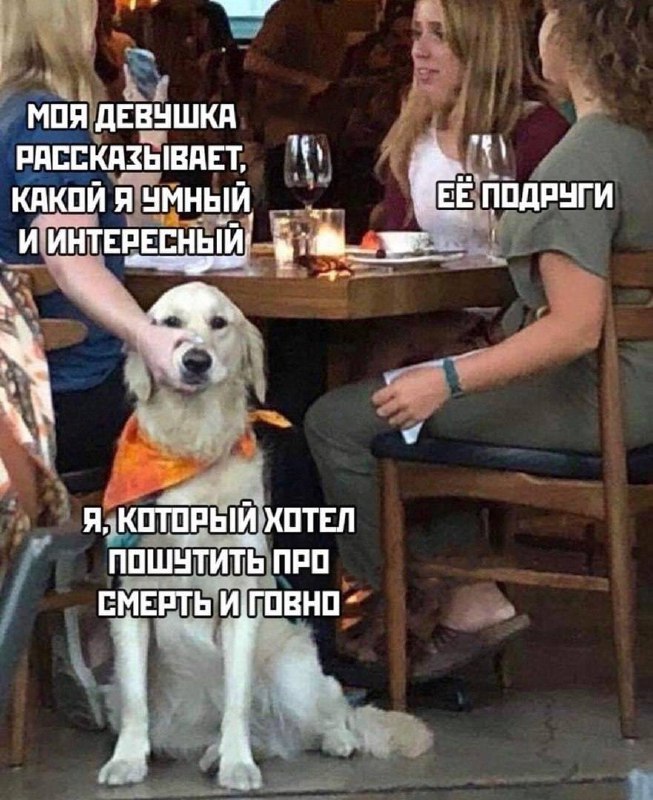 Моя девушка рассказывает какой я умный и интересный. Я, который хотел пошутить про смерть и говно