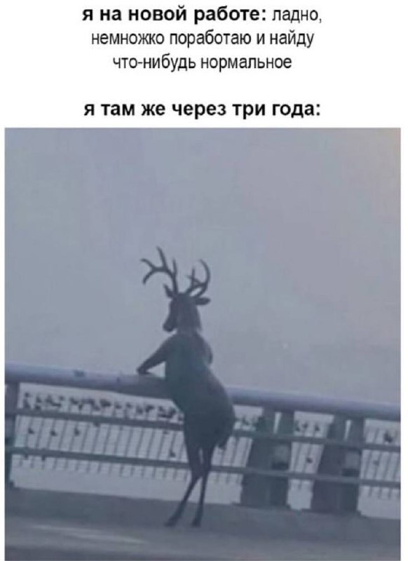 Я на новой работе: ладно, немножко поработаю и найду что-нибудь нормальное. Я там же через три года