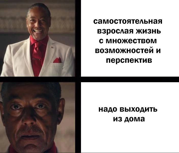 Самостоятельная взрослая жизнь с множеством возможностей и перспектив. Надо выходить из дома