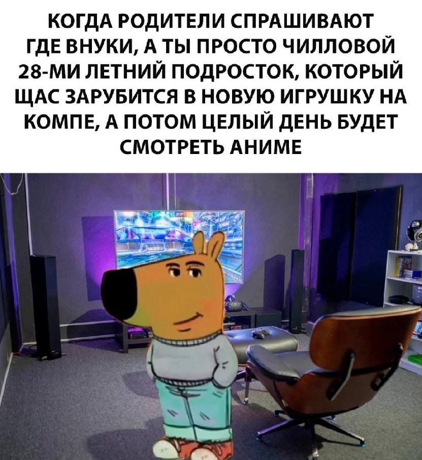 Когда родители спрашивают где внуки, а ты просто чилловой 28-летний подросток, который щас зарубится в новую игрушку на компе, а потом целый день будет смотреть аниме