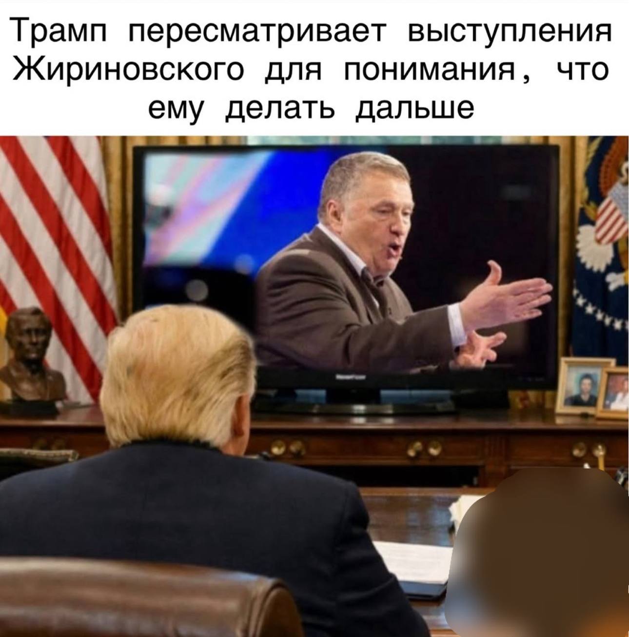 Трамп пересматривает выступления Жириновского для понимания, что ему делать дальше