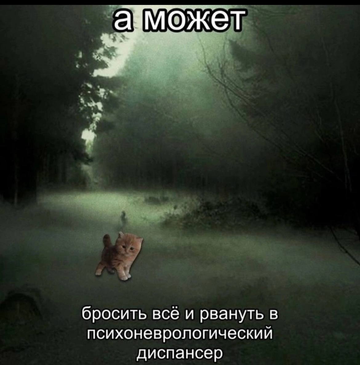 А может бросить всё и рвануть в психоневрологический диспансер