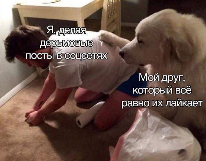 Я, делая дерьмовые посты в соцсетях. Мой друг, который все равно их лайкает