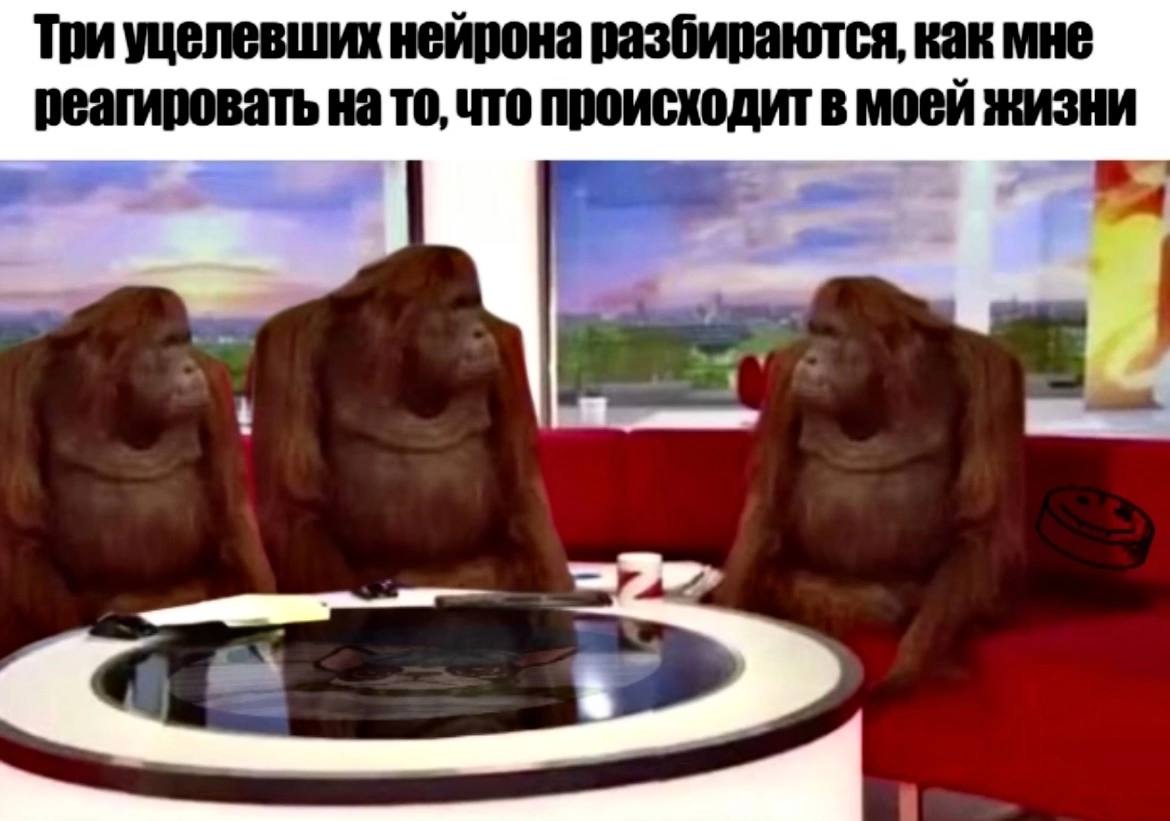 Три уцелевших нейрона разбираются, как мне реагировать на то, что происходит в моей жизни