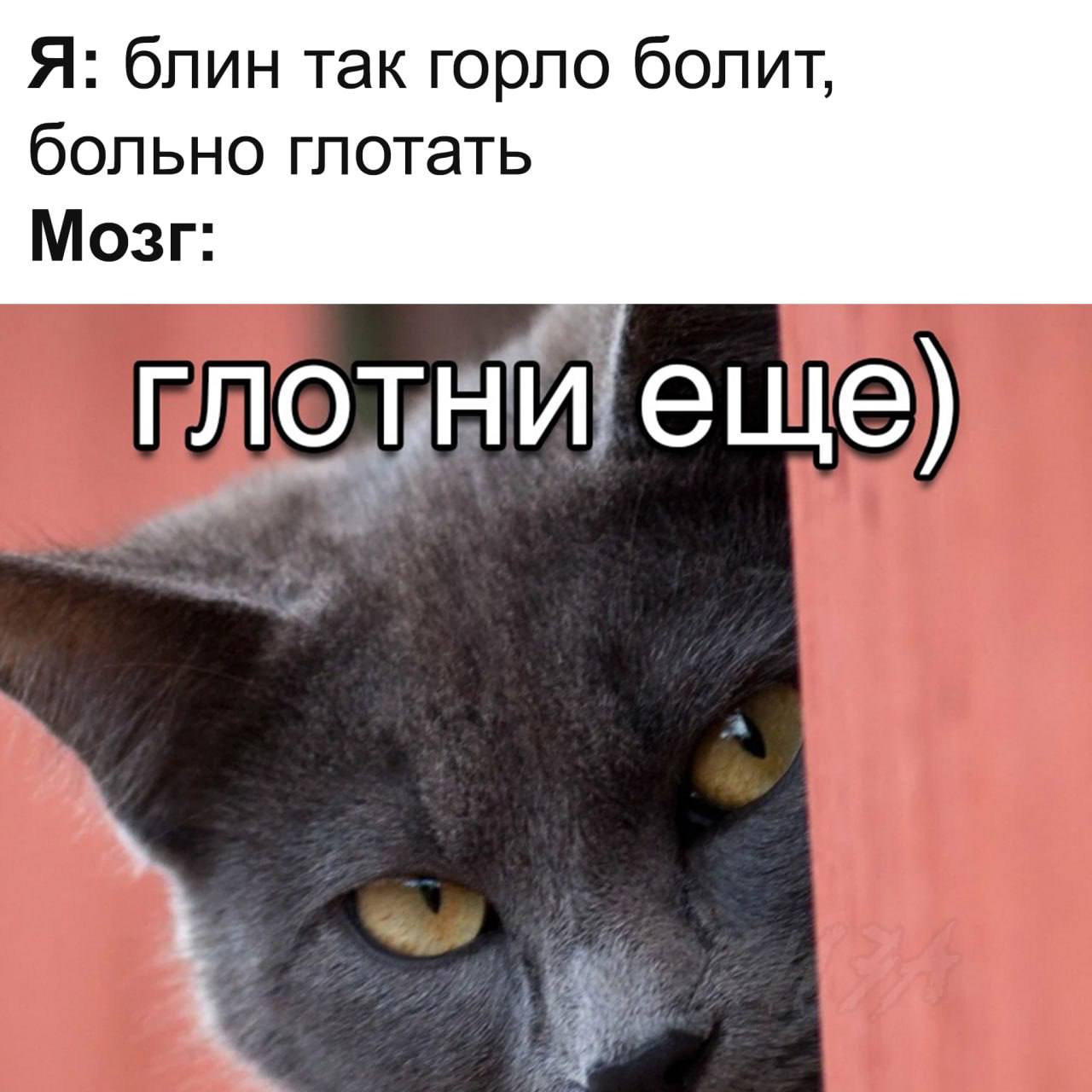 Я: блин, так горло болит, больно глотать. Мозг: глотни еще