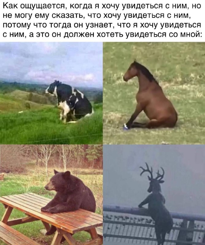 Как ощущается, когда я хочу увидеться с ним, но не могу ему сказать, что хочу увидеться с ним, потому что тогда он узнает, что я хочу увидеться с ним, а это он должен хотеть увидеться со мной