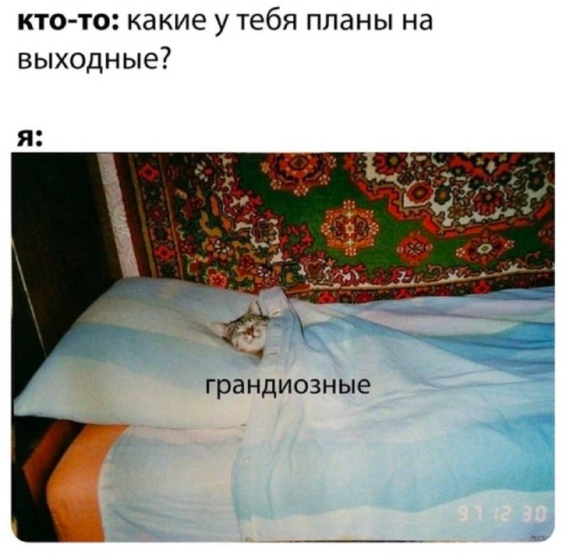 Кто-то: какие у тебя планы на выходные? Я: грандиозные