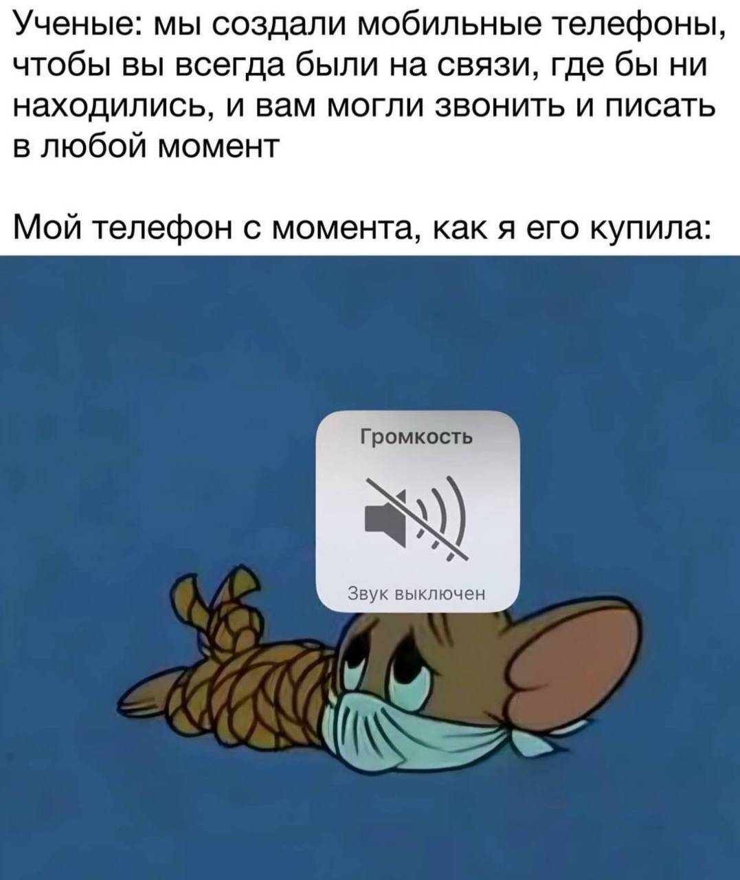 Ученые: мы создали мобильные телефоны, чтобы вы всегда были на связи, где бы ни находились, и вам могли звонить и писать в любой момент. Мой телефон с момента, как я его купила: звук выключен