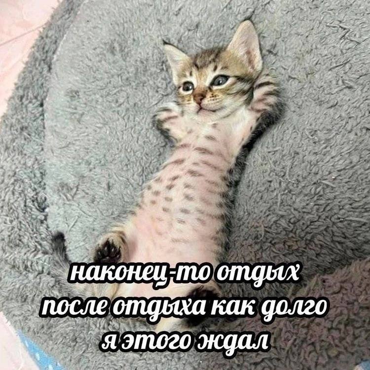 Наконец-то отдых после отдыха как долго я этого ждал